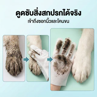 2 กล่อง แถมเพิ่มอีก 1 กล่องPetClear ถุงมืออาบน้ำแห้ง (10 ชิ้น) ผ้าเช็ดตัวแมว ทิชชู่เปียกหมา ดับกลิ่น