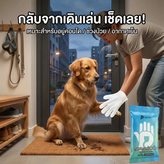 2 กล่อง แถมเพิ่มอีก 1 กล่องPetClear ถุงมืออาบน้ำแห้ง (10 ชิ้น) ผ้าเช็ดตัวแมว ทิชชู่เปียกหมา ดับกลิ่น