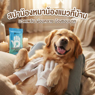 2 กล่อง แถมเพิ่มอีก 1 กล่องPetClear ถุงมืออาบน้ำแห้ง (10 ชิ้น) ผ้าเช็ดตัวแมว ทิชชู่เปียกหมา ดับกลิ่น