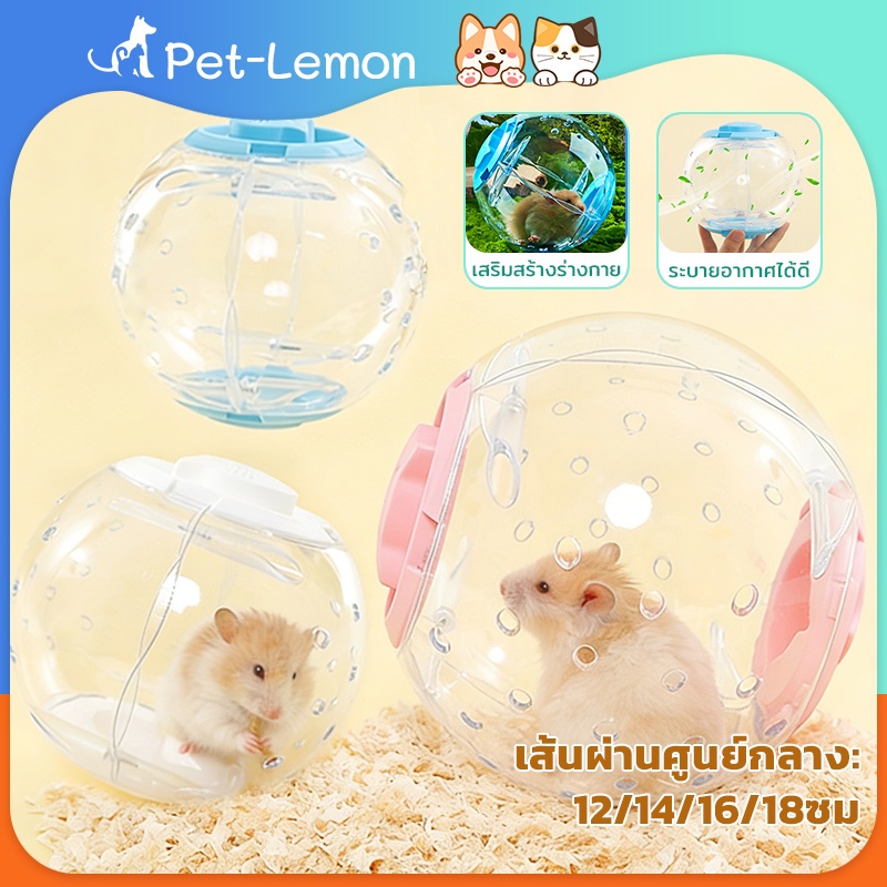 ลูกบอลวิ่งหนูแฮมเตอร์ บอลวิ่งหนูแฮมเตอร์ ของเล่นหนูแฮมเตอร์ ของเล่นสัตว์เล็ก ลูกบอลออกกำลังกาย