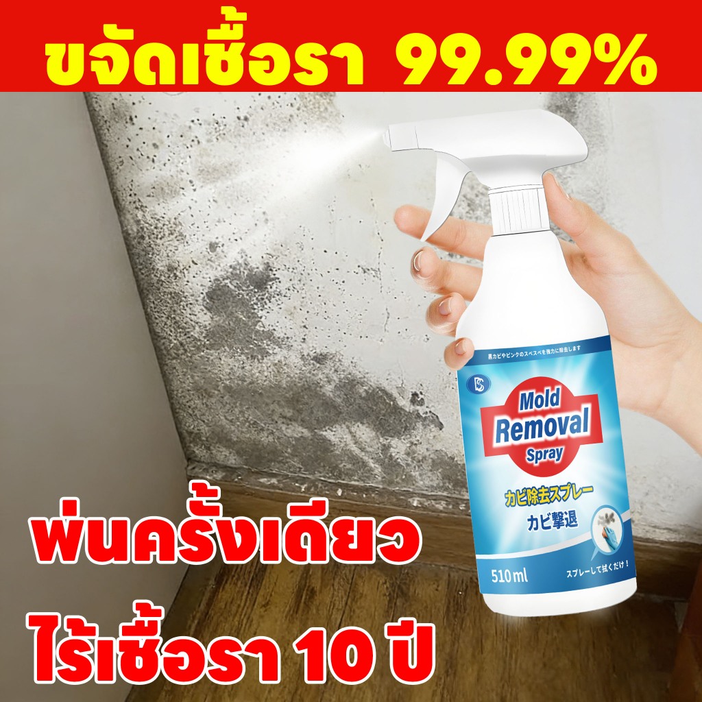 ✨1 พ่น ลบเชื้อราได้ง่าย✨Feh น้ำยาฆ่าเชื้อรา น้ำยากำจัดเชื้อรา สเปรย์กำจัดเชื้อรา 510ml กำจัดและป้องก