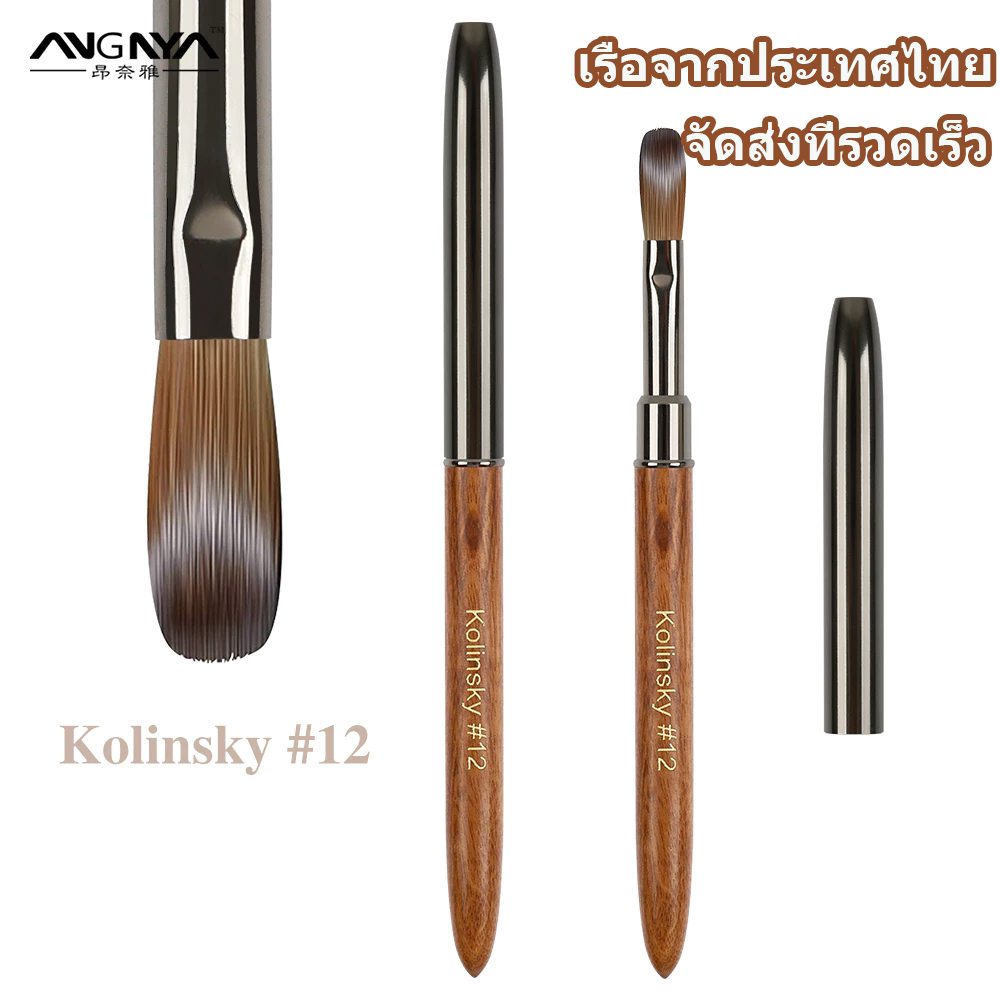 Angnya พู่กันอะคริลิค ขนKolinskyแท้ พู่กันขนKolinsky เบอร์ 8-12