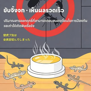 💪ประสิทธิภาพแรง🦎จิ้งจกหนีกระเจิง!🦎 ไล่จิ้งจก ยาฆ่า ยาฆ่าตุ๊กแก ยาไล่ แต่ร้ายแรงต่อจิ้งจก