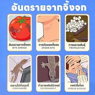 💪ประสิทธิภาพแรง🦎จิ้งจกหนีกระเจิง!🦎 ไล่จิ้งจก ยาฆ่า ยาฆ่าตุ๊กแก ยาไล่ แต่ร้ายแรงต่อจิ้งจก
