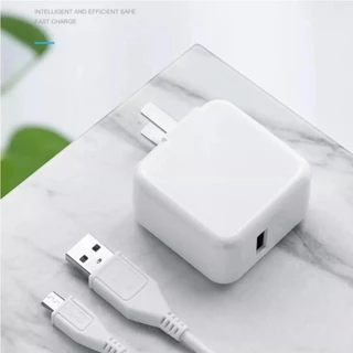 เหมาะสําหรับ VIVO NEX Series V15/V15Pro/V17/V17Pro/S1/S1Pro Original 22.5 W Micro USB และ Type-C Fast Charger Set