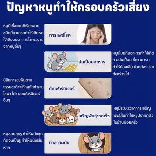 🎁 ซื้อ 1 แถม 1 🎁Hb เจลไล่หนู ลูกเหม็นไล่ เหยื่อกำจัดหนู ไล่ กำจัด ยา 150g ของแท้ 100% ใช้งานง่าย ในรถยนต์ ไล่หนูตลอด 24 ชั่วโมง ผลิตจากธรรมชาติ ปลอดภัย💯รวดเร็วมีประสิทธิภาพ