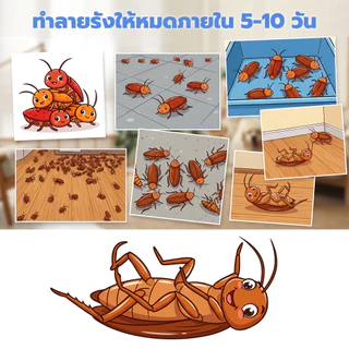 🪳 กำจัดแมลงสาบหมดปัญหา 🪳 ยาฆ่าแมลงสาบ เจลฆ่าแมลงสาบ ตายยกรัง ใช้ง่าย ขนาดใหญ่ 35g สูตรใหม่ล่าสุด