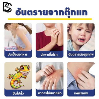 ตุ๊กแกหายเกลี้ยง 60 ปีเต็ม! ยาฆ่าจิ้งจก ยาจิ้งจก ยาฆ่าตุ๊กแก ไล่จิ้งจกยากำจัดตุ๊กแก 24 เม็ด ได้ผล 100%