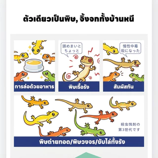 ตุ๊กแกหายเกลี้ยง 60 ปีเต็ม! ยาฆ่าจิ้งจก ยาจิ้งจก ยาฆ่าตุ๊กแก ไล่จิ้งจกยากำจัดตุ๊กแก 24 เม็ด ได้ผล 100%