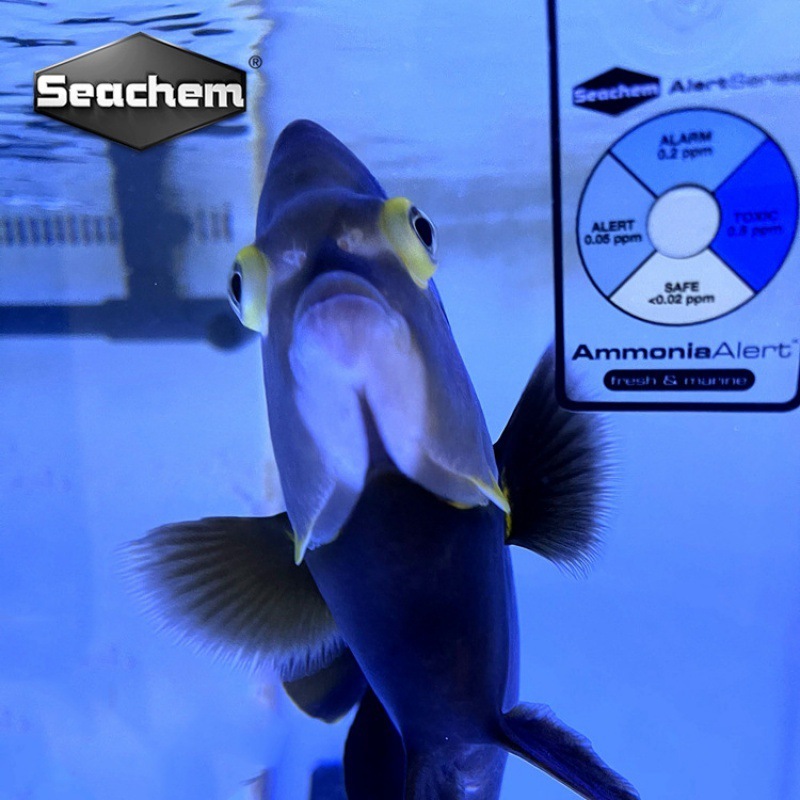 Seachem ถังปลา Ammonia Alert การ์ดสําหรับใช้น้ําจืดและน้ําทะเล การ์ด PH Alert สําหรับใช้น้ําจืด