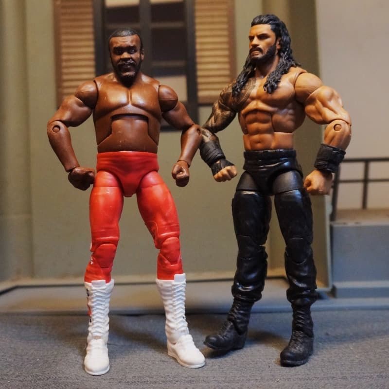 WWE AEW Mattel Elite Roman Reigns Junkyard Dog Mankind Chyna Triple H The Rock Dwayne Johnson Edge B