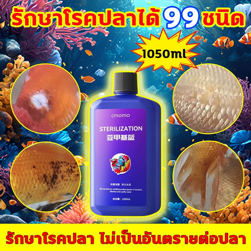 methylene blue รักษาโรคปลาได้ 99 ชนิด เมทิลีนบลู หยดเดียวลงตู้ปลา โรคปลาหายเกลี้ยง เมทาลีนบลู รักษา ไม่เป็นอันตรายต่อ รักษาโรค