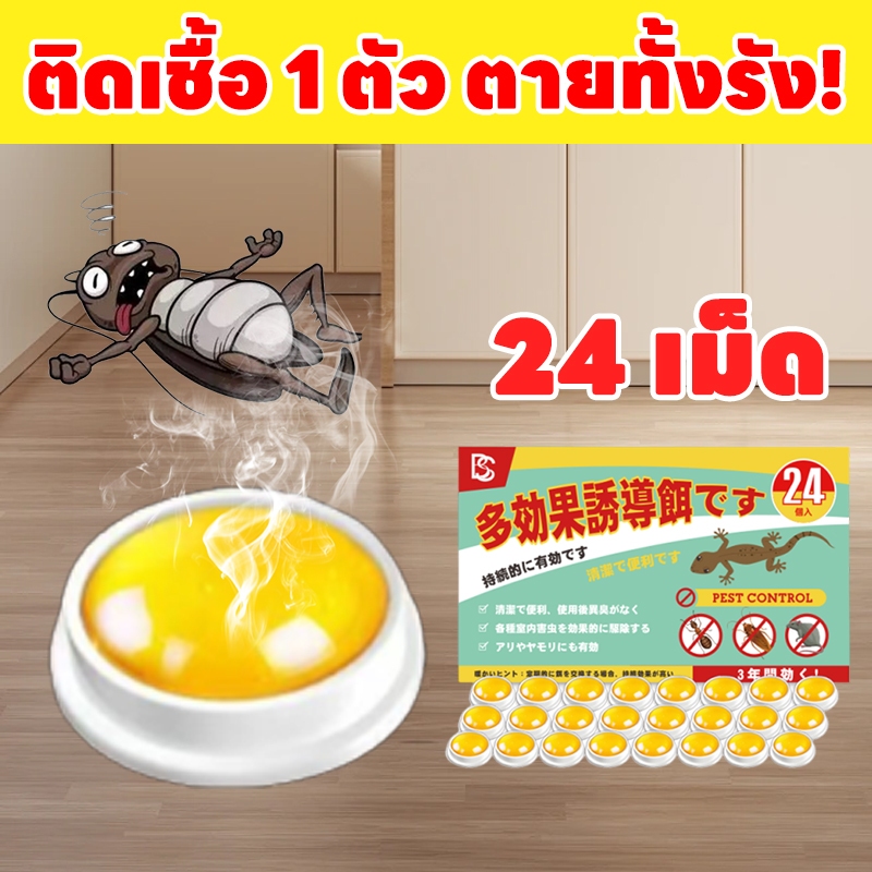 50ปีไม่มีแมลงสาบ ฆ่าแมลงสาบ กำจัดแมลงสาบ ยากำจัดแมลงสาบ ติดเชื้อ 1 ตัว ตายทั้งรัง ไม่เป็นอันตรายต่อผู้คน