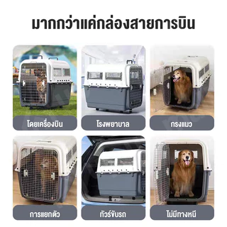 🔥กรงหิ้ว🔥กล่องใส่สัตว์เลี้ยง ขนาดใหญ่ กรงเดินทาง สำหรับสุนัขและแมว กรงสัตว์เลี้ยงพกพา ราคาถูก กรงถือแมว แถมแผ่นปูพื้น 60*36*35