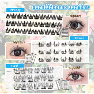 FLORÈT LASH 20 แถวขนตาปลอมขนตาติดด้วยตนเองธรรมชาติกล่องเดียวหกรูปแบบคุณภาพสูงนํากลับมาใช้ใหม่ได้