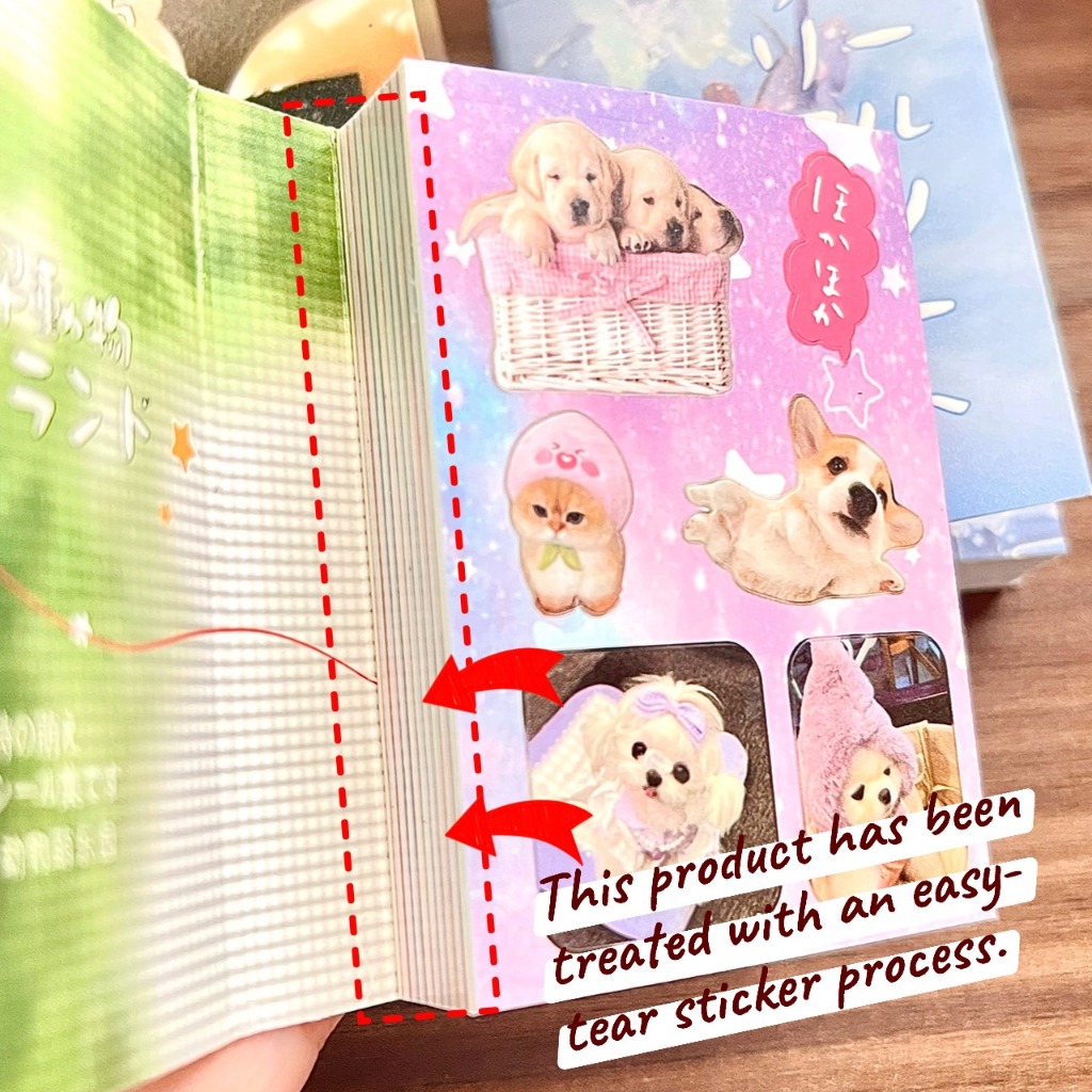 Thumbnail 6
