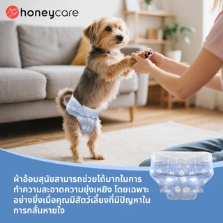 Honeycare ผ้าอ้อมสุนัข ผ้าอ้อมสัตว์เลี้ยงชายและหญิง ผ้าอ้อมสุนัข ผ้าอนามัยสุนัข ระงับกลิ่นกาย เบาสบาย 10 ชิ้นต่อถุง XS~XL