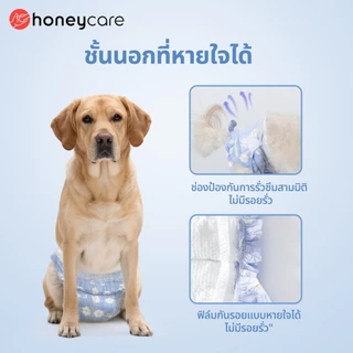 Honeycare Odor Control Deodorization Pet Diaper Male Wrap And Female Diaper- Size XS-XL (10 ชิ้น)