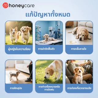 Honeycare Odor Control Deodorization Pet Diaper Male Wrap And Female Diaper- Size XS-XL (10 ชิ้น)