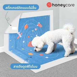 Honeycare Magic Star Pet Urinal Pad Promax Super Larger XL 90*120 ซม.แผ่นฝึกอบรมแผ่นไม่เต็มเต็งแผ่นฉี่สุนัข Puppy Training Pad สติกเกอร์ด้านหลัง