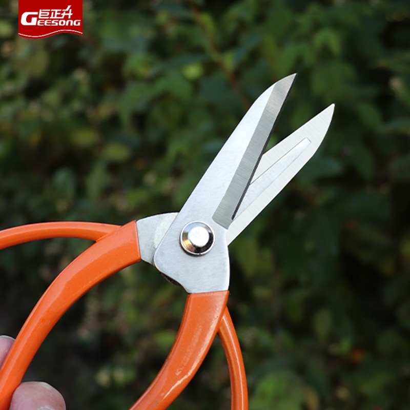 Geosong สไตล์โบราณทนทานและกรรไกรดอกไม้ที่คมชัด | การตัดแต่งและการตัดแต่งกิ่งอเนกประสงค์