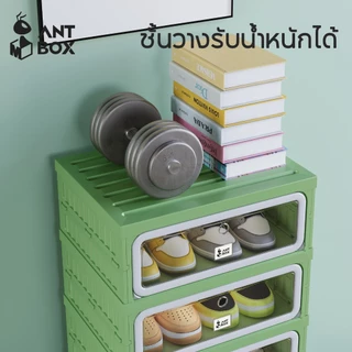 ANTBOX ตู้เก็บรองเท้าเทรนด์ใหม่ปี 2026 1 row สำหรับ สีเทาสีเขียว 6-12 คู่ ติดตั้งง่าย พับเก็บได้รวดเร็ว ตู้เก็บของอเนกประสงค์ ประตูใส ประตูแม่เหล็ก แข็งแรงทนทาน กันน้ำ กันแดด