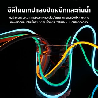 2835 220V หลอดไฟ LED นีออนสีกันน้ำ ไฟงานวัด หลอดไฟสี ตกแต่ง กันน้ำตัดง่าย กับปลั๊ก