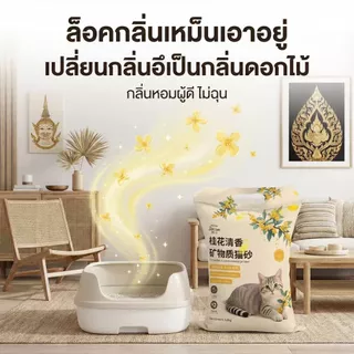 [Petclear] ทรายแมวภูเขาไฟ 5kg กลิ่นหอมหมื่นลี้ จับตัวไว เก็บกลิ่นดีเยี่ยม ฝุ่นน้อย ไม่ติดเท้า