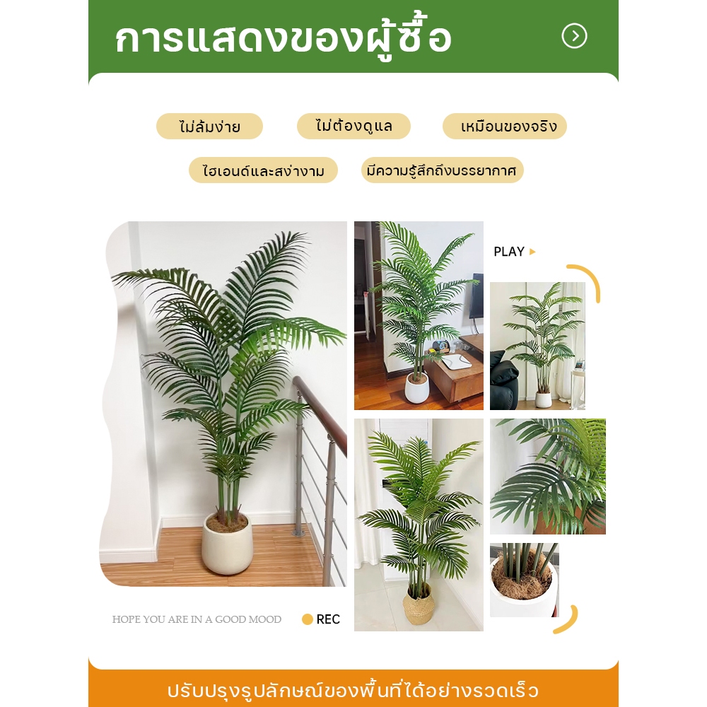 🔥หลายรุ่น!!!  ฟรีกระถางดอก +หินตกแต่ง🔥 ต้นไม้ปลอม ต้นไม้ปลอมใหญ่ 65/85/95/125cm ต้นไม้แต่งบ้าน+การตกแต่งร้านกาแฟ สไตล์นอร์ดิก ในบ้าน ต้นไม้มงคล ต้นไม้ประดิษฐ์ ต้นไม้ตกแต่งบ้าน ต้นไม้ปลอมสวยๆ ต้นไม้แต่งห้อง ต้นไม้มงคลสวยๆ - รูปที่ 2