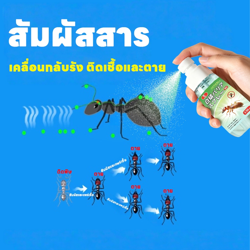 ฉีดครั้งเดียว มดหายเกลี้ยง!🔥กำจัดมด ยาฆ่ามด ยากำจัดมด ฉีดมดแบบปลอดภัย ฆ่าอย่างรวดเร็ว ไม่เป็นอันตรายต่อมนุษย์ - รูปที่ 4