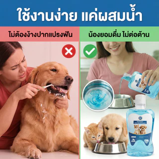 【ซื้อ 2 แถม 1】PETCLEAR น้ำยาบ้วนปาก 380 มล. สำหรับสุนัขและแมว ทำความสะอาดฟันและขจัดกลิ่นปาก ให้กลิ่นหอมสดชื่น