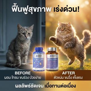 [Set สุดคุ้ม] PetClear น้ำมันปลา + วิตามินรวม บำรุงขนสวย เสร…
