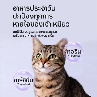 PetClear ไลซีนแมว (120g) เข้มข้น! ลดหวัด ลดคราบน้ำตา ลดจาม เสริมภูมิคุ้มกัน วิตามินแมว อาหารเสริมแมว