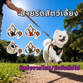 สายรัดอกสุนัขขนาดเล็กกลาง Dog Harness ลายหมีน่ารัก ปรับได้ สายจูงแมวได้