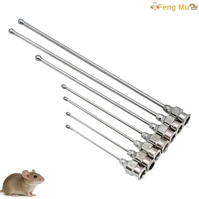 Baby Bird Feeding Syringe Tube หัวฉีดสแตนเลสหนู/ตู้/สัตว์เลี้ยงตรง Gavage เข็ม