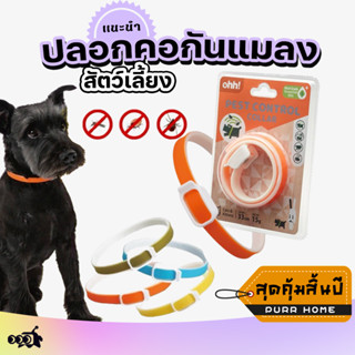 🔔 ปลอกคอสัตว์เลี้ยงกันแมลง ohh|✅น้ำมันหอมระเหยจากพืช+ปรับขนา…