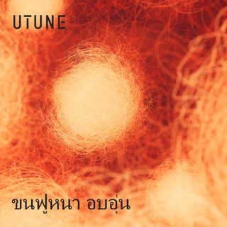 UTUNE รองเท้าผู้หญิงพื้นหนา ผ้าฝ้าย ใส่สบาย กันหนาว สไตล์วินเทจ กันลื่น สำหรับฤดูหนาว ใส่ในบ้าน