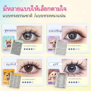 ขนตาปลอมแบบมีกาวในตัว 10 แถวขนตาหนาธรรมชาติคุณภาพสูงบรรจุภัณฑ์ประณีตนํากลับมาใช้ใหม่ได้