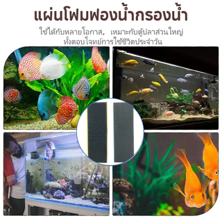 แผ่นกรองน้ำ ใยกรอง 9D แผ่นโฟมฟองน้ํากรองน้ำ ดักจับตะกอน ฝุ่นผง ขี้ปลา เศษอาหาร ได้เป็นอย่างดี ซักได้หลายครั้่ง