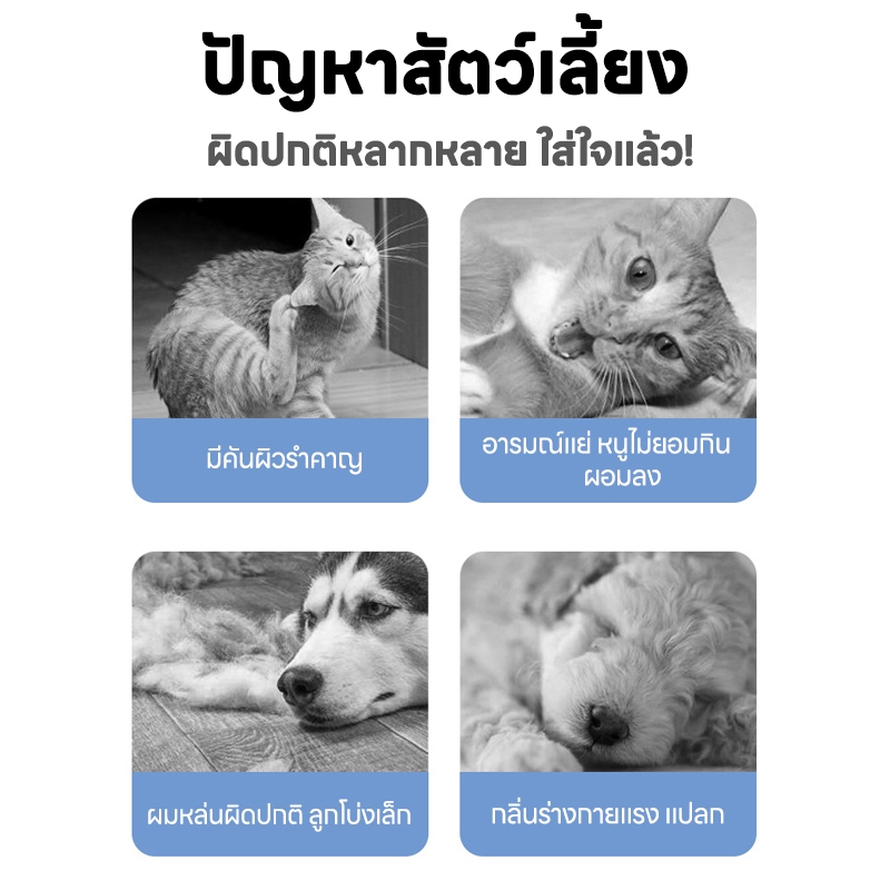 รูปภาพ 3