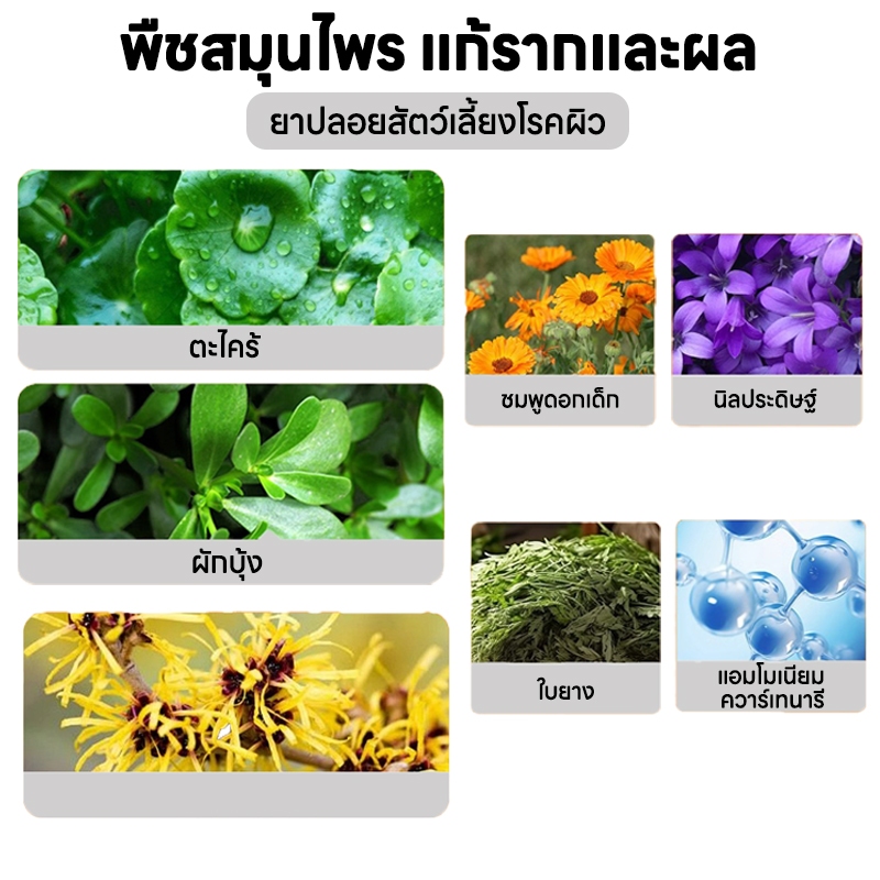 รูปภาพ 5