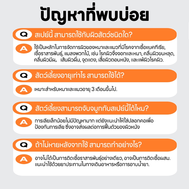 รูปภาพ 8