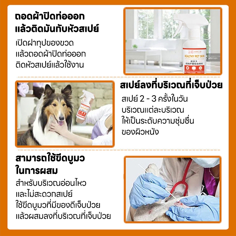 รูปภาพ 7