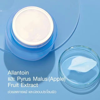 Skin moisturizing face cream 50ml มอยส์เจอร์ เบิร์ส เจลครีมล็อคผิวอิ่มน้ำ