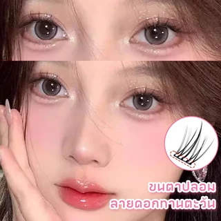 [ไม่จำเป็นต้องใช้กาว] หนังสือขนตาปริมาณมากหนังสือผสมขนตาปลอมธรรมชาติขนตาปลอมกันน้ำเหมาะสำหรับผู้เริ่มต้นใช้ซ้ำได้