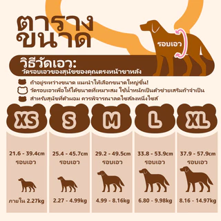 Dono Male&Female dog ผ้าอ้อมแบบดึงขึ้นแบบใช้แล้วทิ้ง 10 ชิ้นผ้าอ้อมแมวลูกสุนัข XS SML XL
