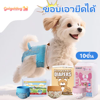 Dono Diapers 10/20/30/40PCS ผ้าอ้อมแบบดึงขึ้นน่ารักสําหรับผ้าอ้อมสุนัขหญิงและชาย XS-XL