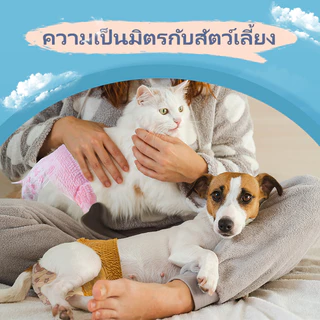 Donos Diary 10 ชิ้นผ้าอ้อมดึงลายน่ารักสําหรับผ้าอ้อมสุนัขหญิงและชาย XS-XL