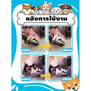 สเปรย์ช่องปากสัตว์เลี้ยง ลดคราบหินปูน สลายหินปูน ลมหายใจสดชื่น เสริมภูมิคุ้มกัน เหมาะสําหรับสุนัขและแมว ไม่ต้องแปรง ปกป้องสุขภาพช่องปากของสัตว์เลี้ยง