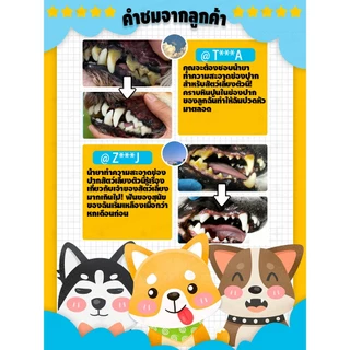 สเปรย์ช่องปากสัตว์เลี้ยง ลดคราบหินปูน สลายหินปูน ลมหายใจสดชื่น เสริมภูมิคุ้มกัน เหมาะสําหรับสุนัขและแมว ไม่ต้องแปรง ปกป้องสุขภาพช่องปากของสัตว์เลี้ยง